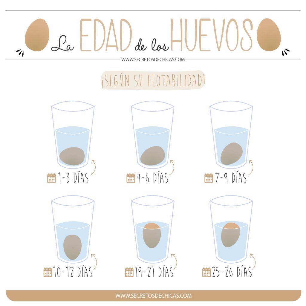 Edad huevos-01